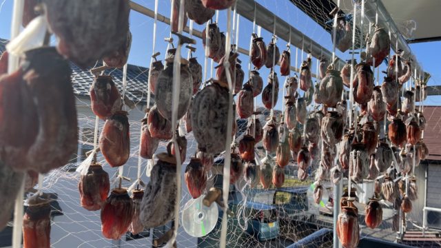 秩父で過ごすお正月🎍