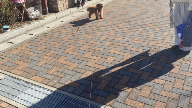 あけましておめでとうございます！