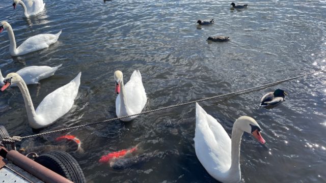 山梨旅行Part1🗻