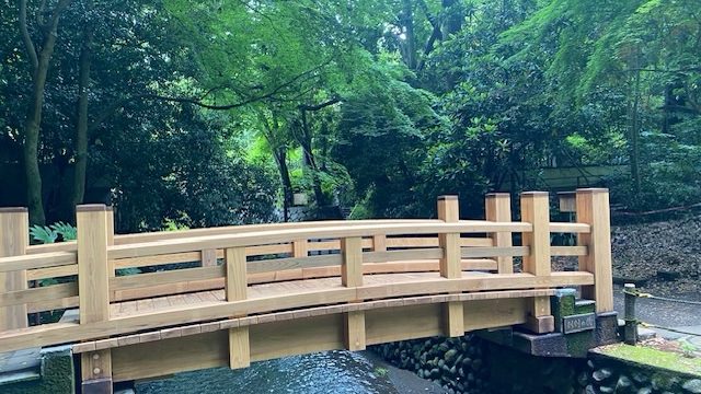 都会のオアシス🌿