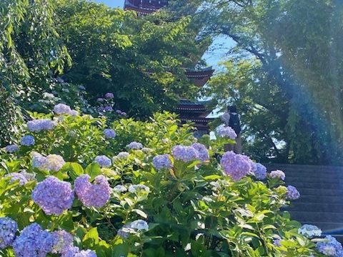 梅雨前の楽しみ