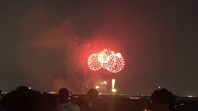 夏の楽しみ🎆