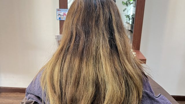 モデル楽しい〜