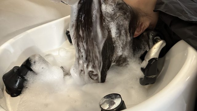 新しいアイテム入るかも？！