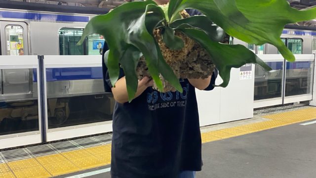 こだわりたいんです。カウンセリング。