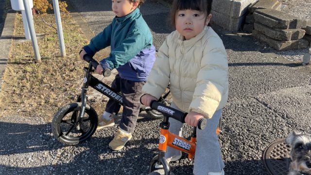 いつの間に3歳4ヶ月