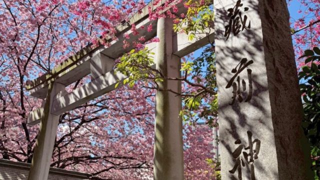 ピンクと黄色💐