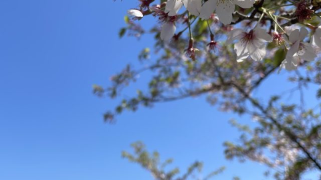 続レイヤースタイル